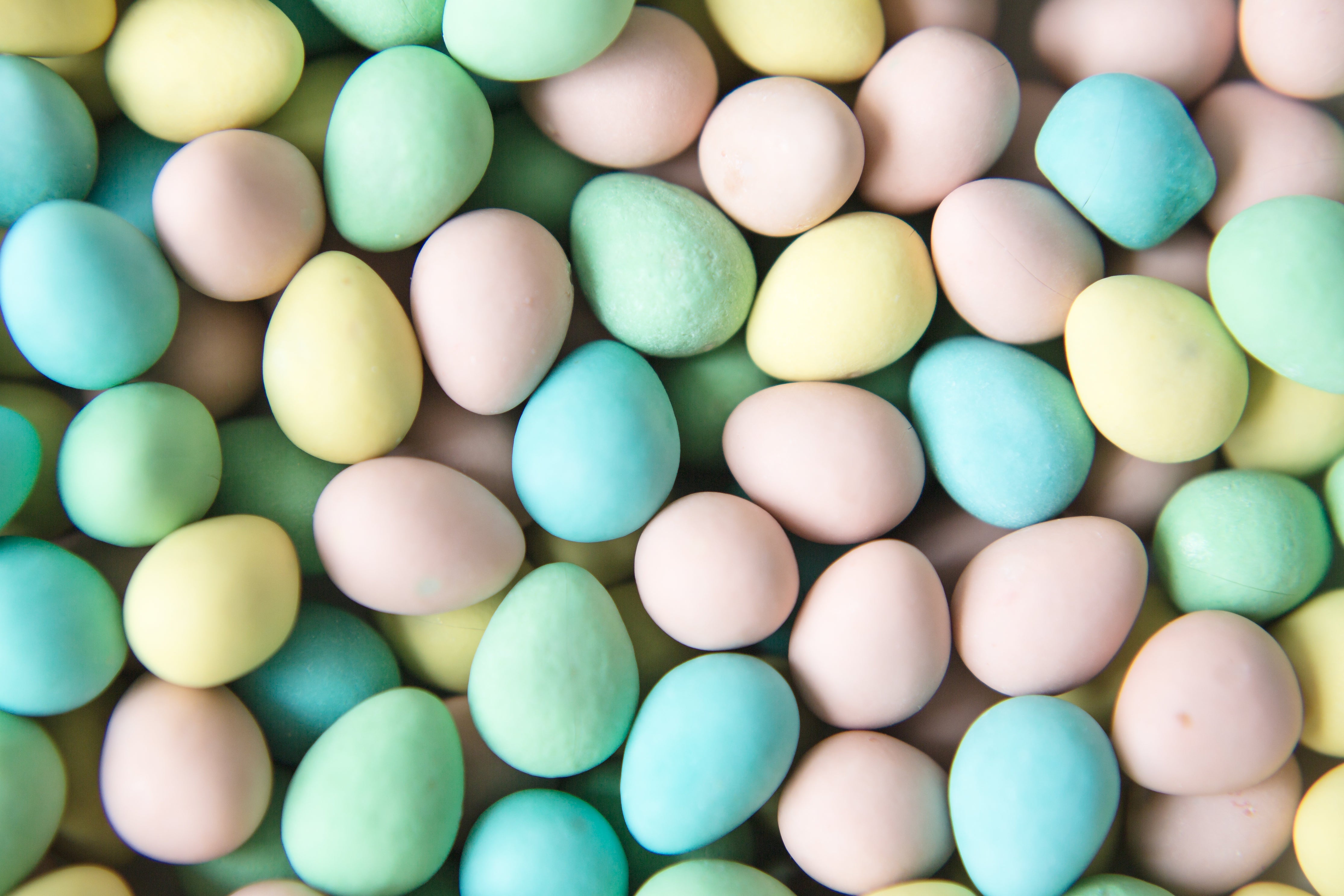 Bas Bakes EASTER PRE-SALE – Mama Barba's Bake Shop